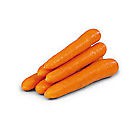 Mrkev čerstv. BIO 1x1kg fólie